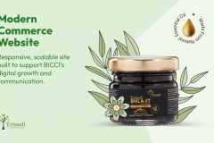 Shopify E-commerce Website Development